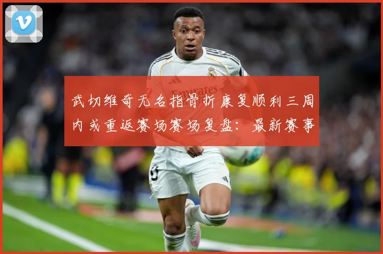 武切维奇无名指骨折康复顺利三周内或重返赛场赛场复盘：最新赛事动态与深度分析